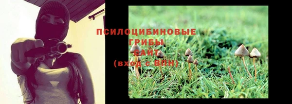 прущие крисы Нязепетровск