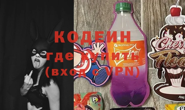 амф Няндома