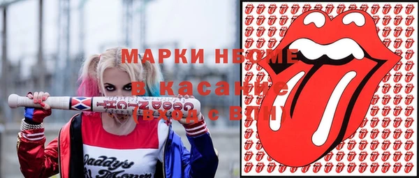 амф Няндома