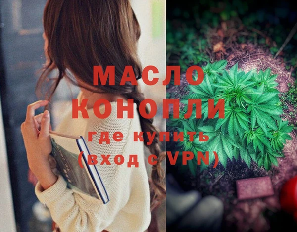 амф Няндома