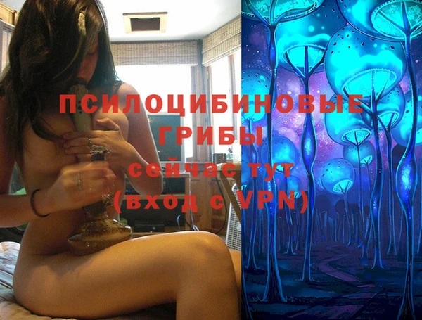 прущие крисы Абинск