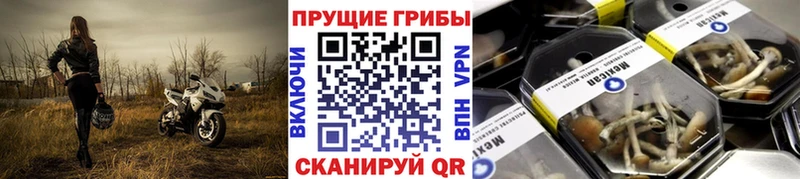 закладки  Зеленокумск  Псилоцибиновые грибы мухоморы 